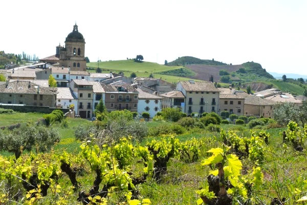 Mañeru, en Tierra Estella